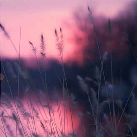 دانلود آهنگ گل عشق آروین اسدی